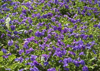 843-1200×700 843-1200x700